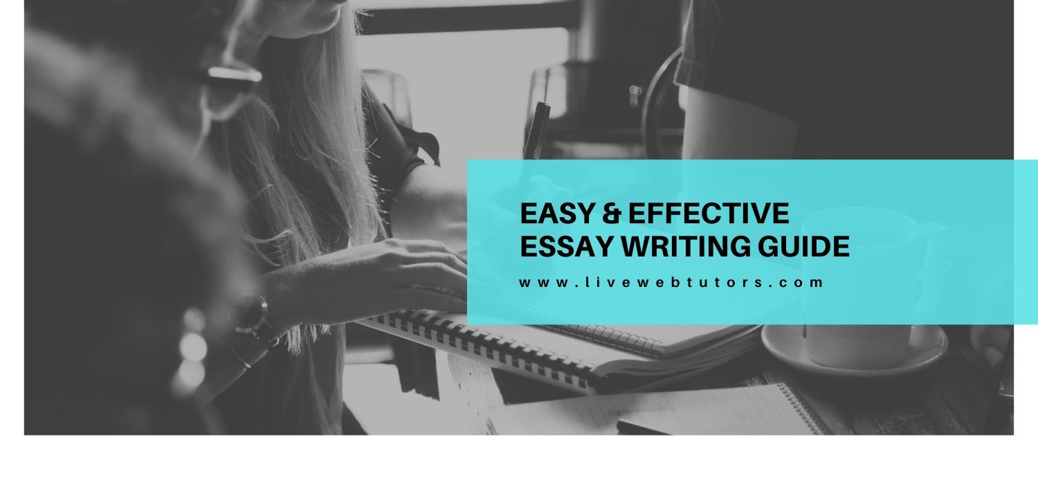 Easy & Effective Essay Writing Guide: For Scholars Who Hate Writing Essays